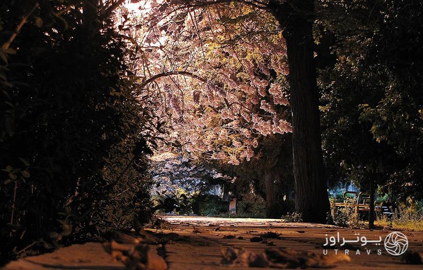 عکس بوستان باغ ملی شیراز در شب